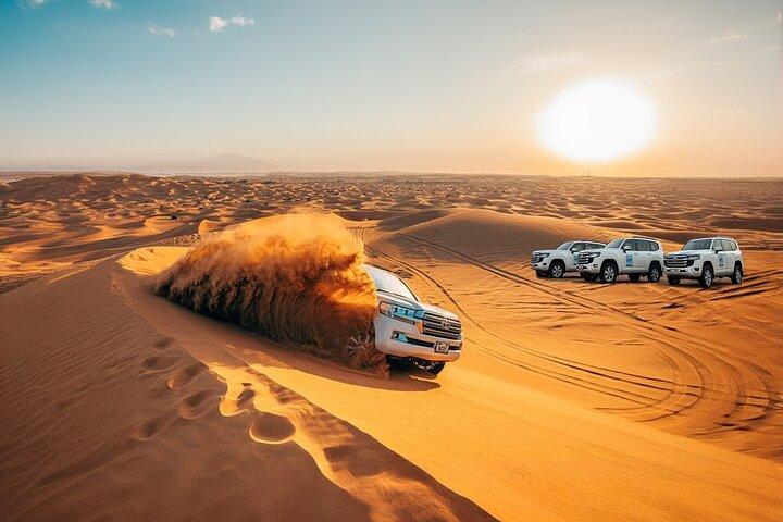 4 heures Dubai Desert Experience : Camel + Sandboard + Falcon Photo