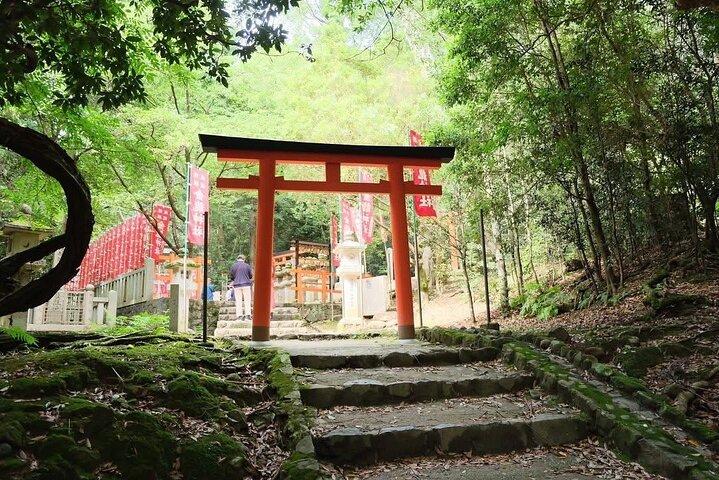Nara och kyoto äventyr privat biltur