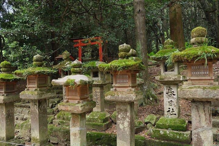 Nara och kyoto äventyr privat biltur