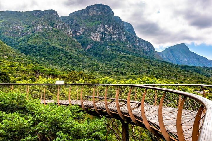 Cape Town Garden Entry Kirstenbosch Botanical Experience