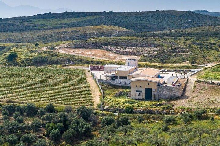 Heraklion Wein & Olivenöl Verkostung