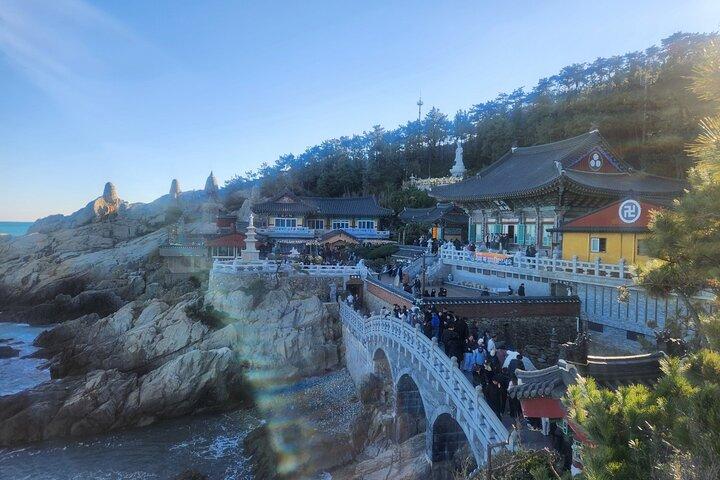 Busan private tur på engelsk eller mandarin