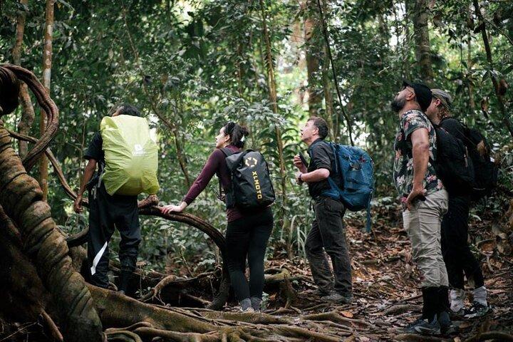 1 Day Ethical Jungle Trekking