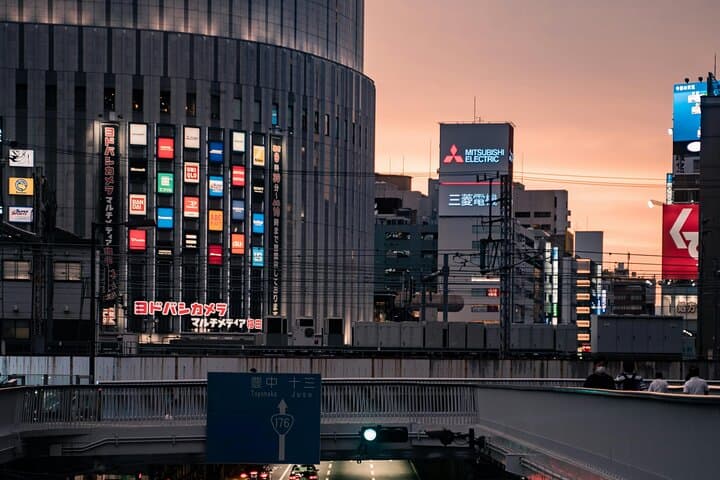 Osaka＆Nara Private Highlights Customizable Tour English Driver