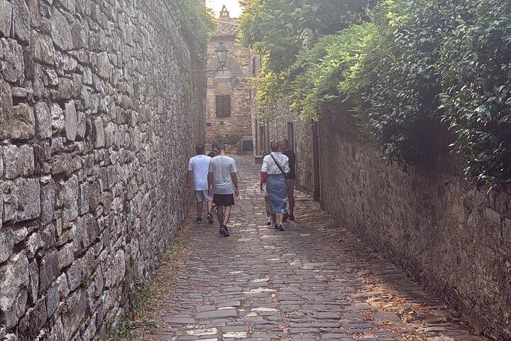 Private Chianti Wine Tour with Transfers from Florence