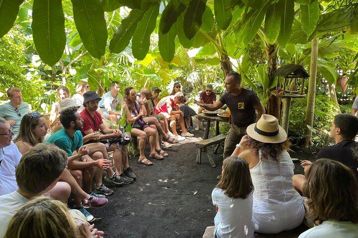 Tour ecológico de cultivo de plátanos en La Palma