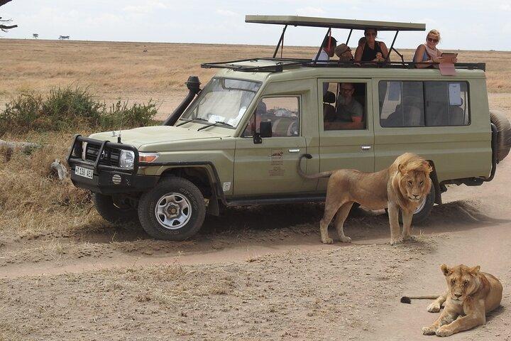 Masai Mara Transfer From Nairobi
