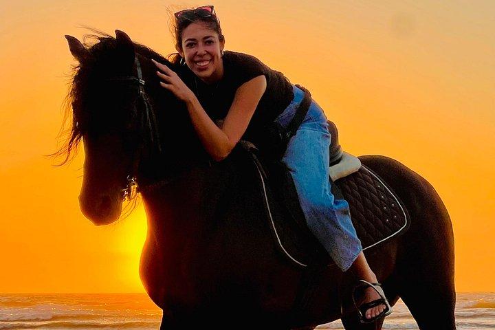 エッサウイラビーチ、砂丘と森で乗馬ギャロップ2時間