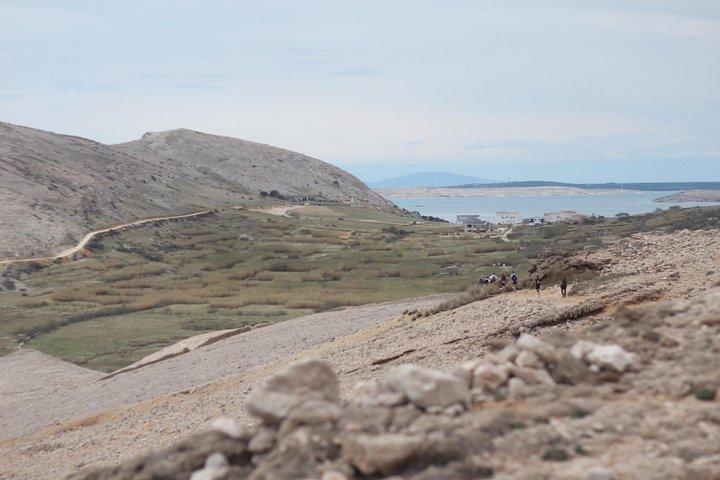 ザダルからパグ島へ：少人数グループでのハイキングと旧市街観光