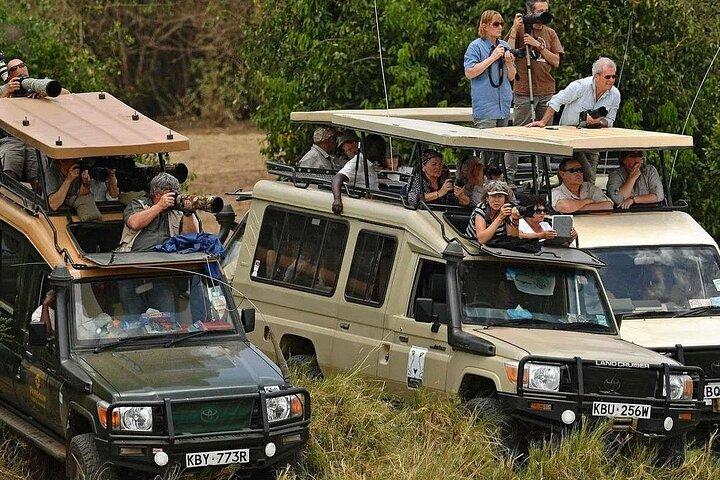 6 Days Samburu Lake Naivasha and Masai Mara Safari