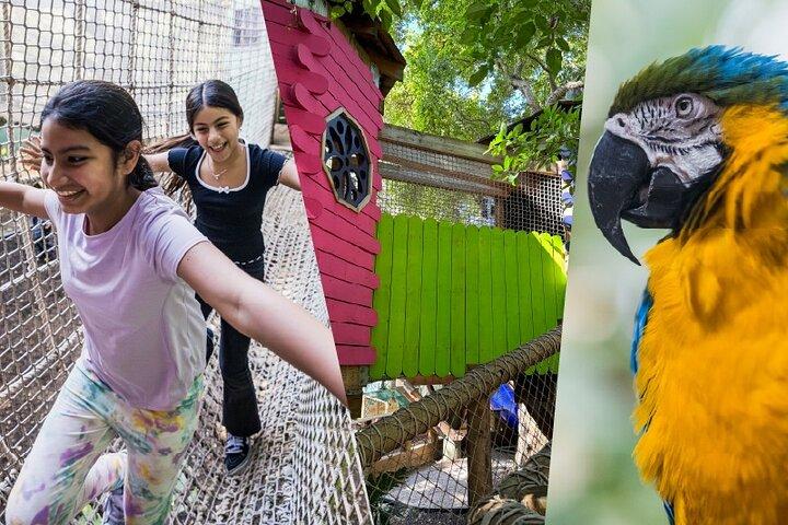 Allgemeine Eintrittskarte für Jungle Island