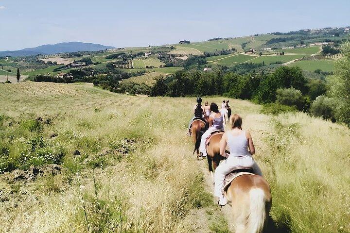 Schilderachtige Toscaanse paardrijtocht met aperitief in de buurt van Florence