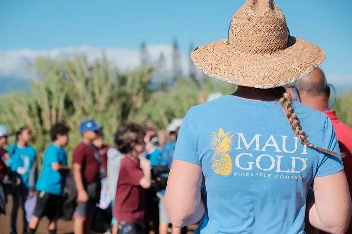 Maui Pineapple Planting Experience