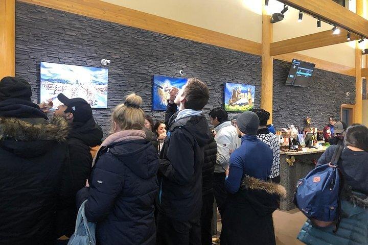 Esplorare i vigneti della Cowichan Valley e tour di degustazione di vini