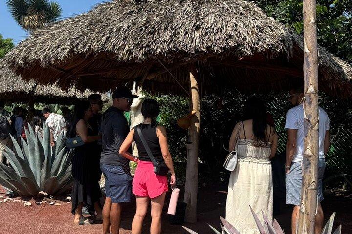 Guided tour EN Teotihuacan - Breakfast EN cave-round transport