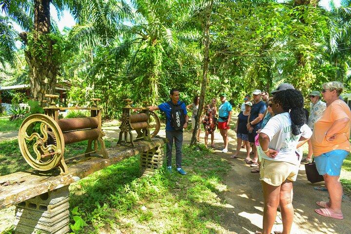 Centro di rafting e conservazione delle tartarughe marine di Khao Lak