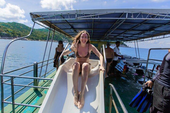 Koral snorkling omkring Koh Tao og Koh Nang Yuan