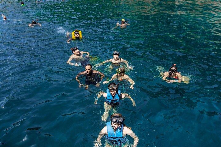 Fantastisk 5 punkt snorkling tur i Koh Tao og Koh Nang Yuan