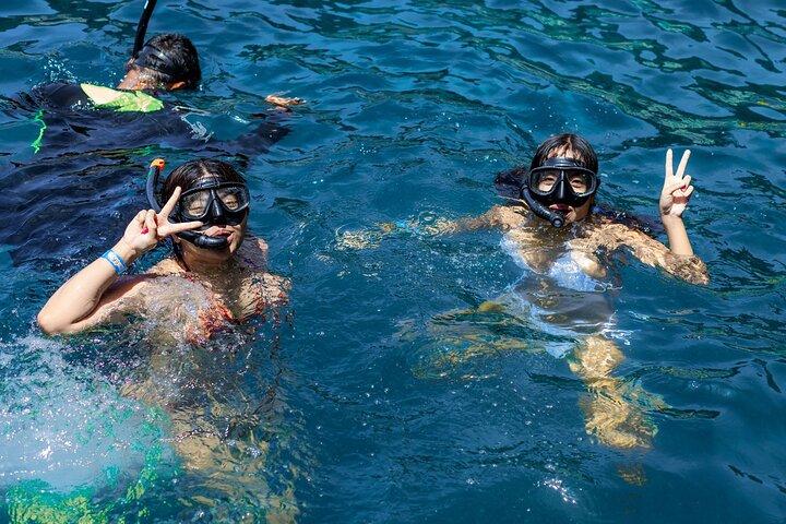 Fantastisk 5 punkt snorkling tur i Koh Tao og Koh Nang Yuan