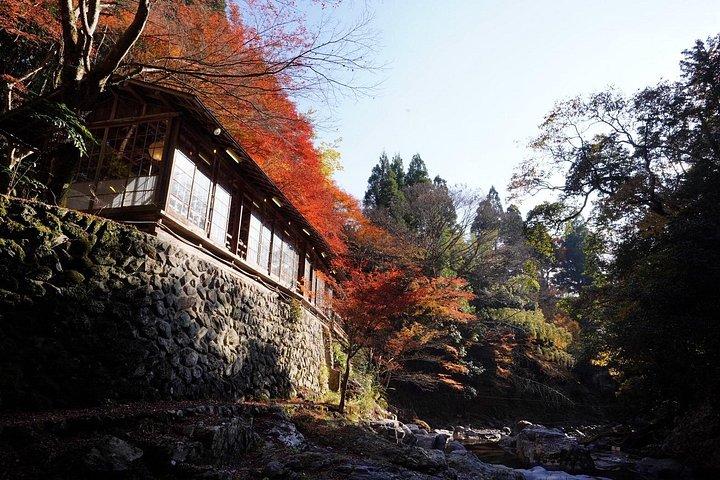 京都隠れた河原禅の仲介と宇治抹茶体験
