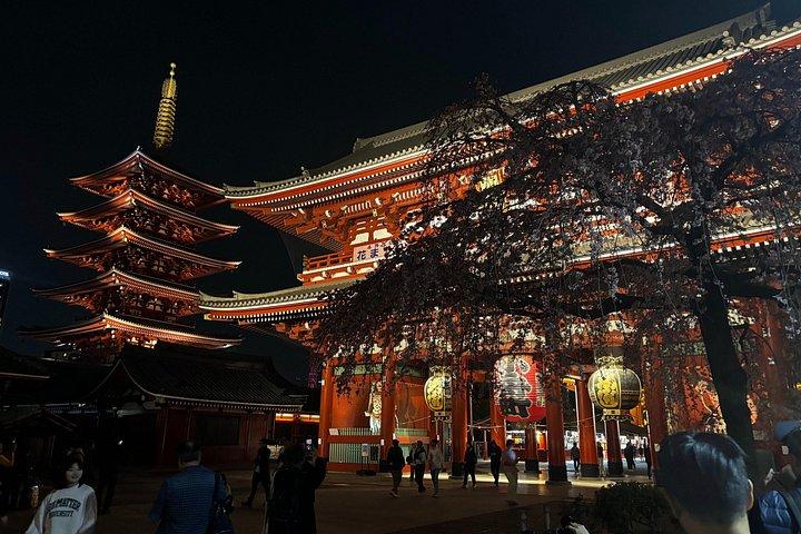One-Day Tokyo Private Walking Tour with Licensed Expert Guide