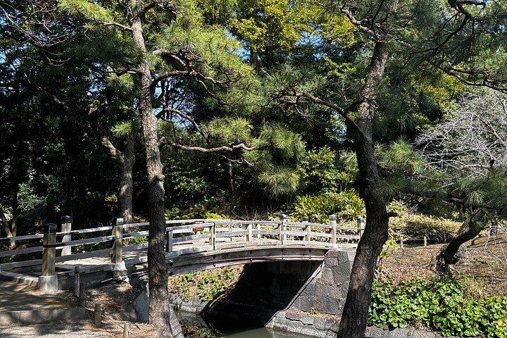 One-Day Tokyo Private Walking Tour with Licensed Expert Guide