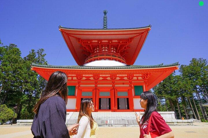 Excursión de un día a Koyasan en coche privado desde Osaka