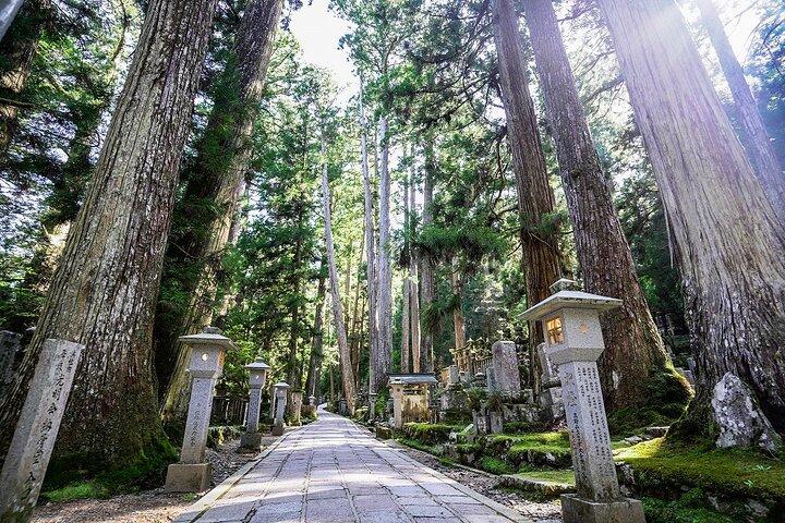 大阪から自家用車で行く高野山日帰り旅行