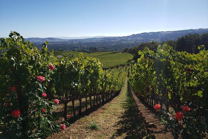 8 Hour Napa Valley Wine Tour - Pre-planned & Custom