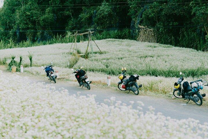 2D2N Ha Giang Loop Kleingruppen Motorrad Abenteuer ab Hanoi