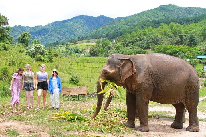Big Boy Elephant Observation (sem toque) + Rafting de bambu