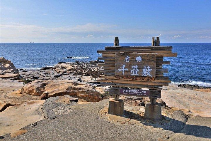 大阪和歌山キャットトレイン、海鮮市場、温泉巡り