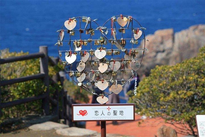 大阪和歌山キャットトレイン、海鮮市場、温泉巡り