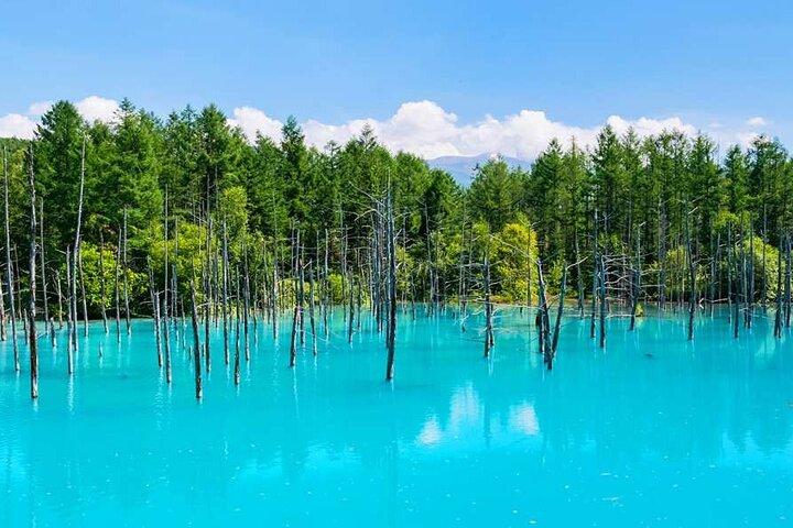 Hokkaido Blumen und Blauer Teich Tour