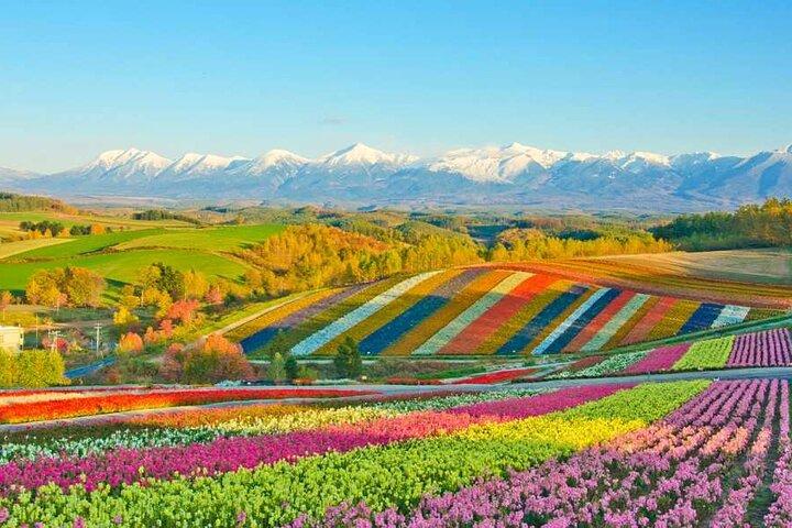 Hokkaido Blumen und Blauer Teich Tour