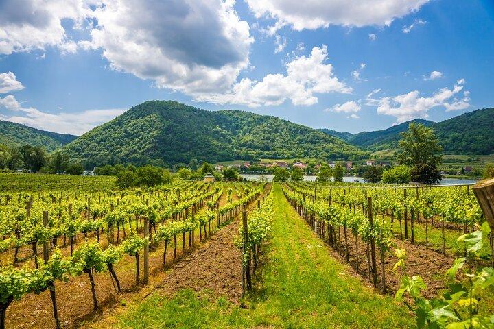 ウィーン：ヴァッハウ・ワンダーズ＆マジカル・ハルシュタット小旅行