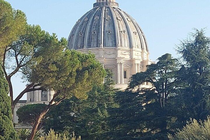 Ingresso alla Basilica di San Pietro con audioguida e Cupola