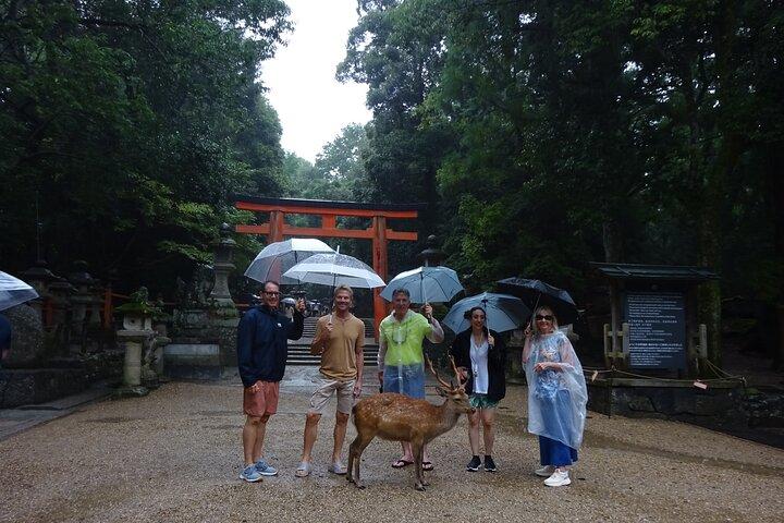 Excursion d'une journée à Nara au départ de Kyoto avec un guide agréé