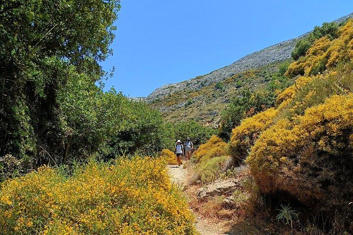 Explore Naxos Waterfall and Enjoy a Traditional Full Meal,Private