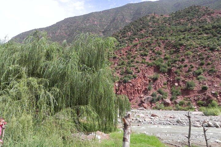 Ourika Valley & Atlas Mountains Day Trip from Marrakech