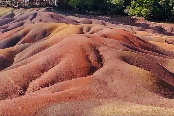 野生のイルカと泳ぐツアーとランチ付き南ツアー