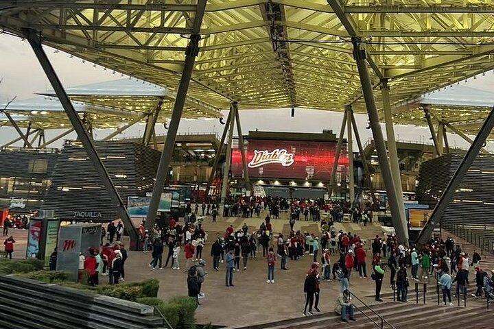 DE DE Baseball match day experience in DE Mexico City