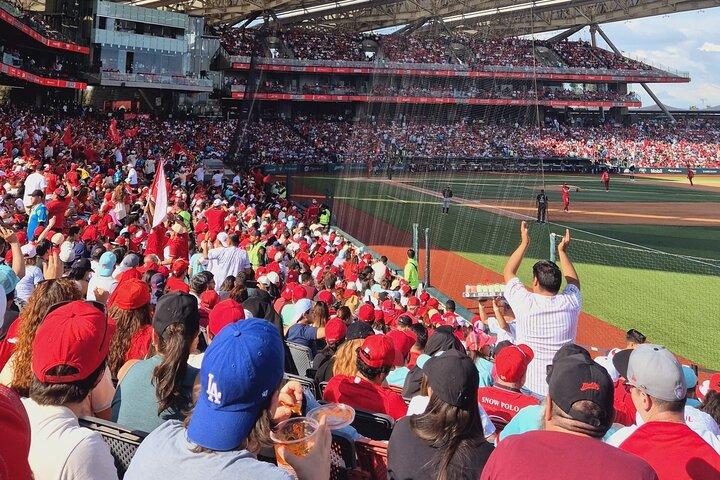 DE DE Baseball match day experience in DE Mexico City
