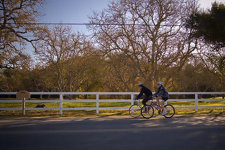 Visite libre de Solvang et Santa Ynez Wine Country