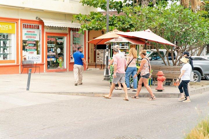 Excursion privée d'une journée à San José et Cabo San Lucas