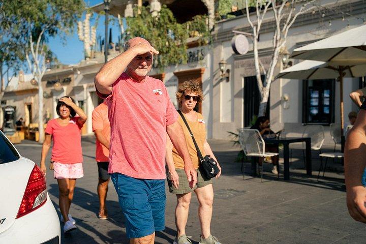 Excursion privée d'une journée à San José et Cabo San Lucas