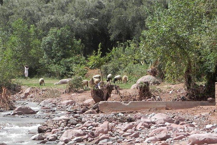 Marrakech a Ourika Valley e Berber Village Experience