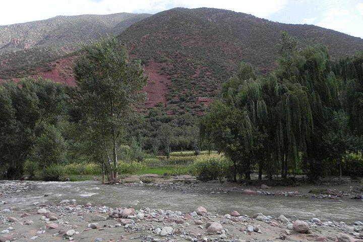 Marrakech a Ourika Valley e Berber Village Experience