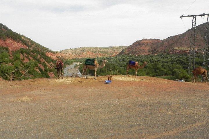 Marrakech a Ourika Valley e Berber Village Experience