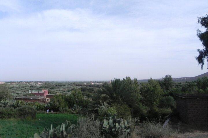 Ourika Valley & Atlas Mountains Day Trip from Marrakech